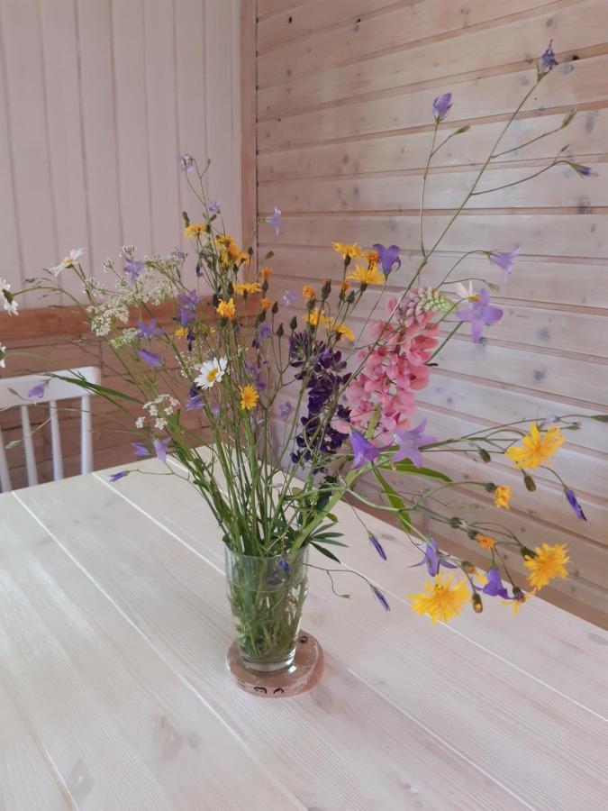 Hygge Chaloupka V Horach Villa Cesky Jiretin ภายนอก รูปภาพ