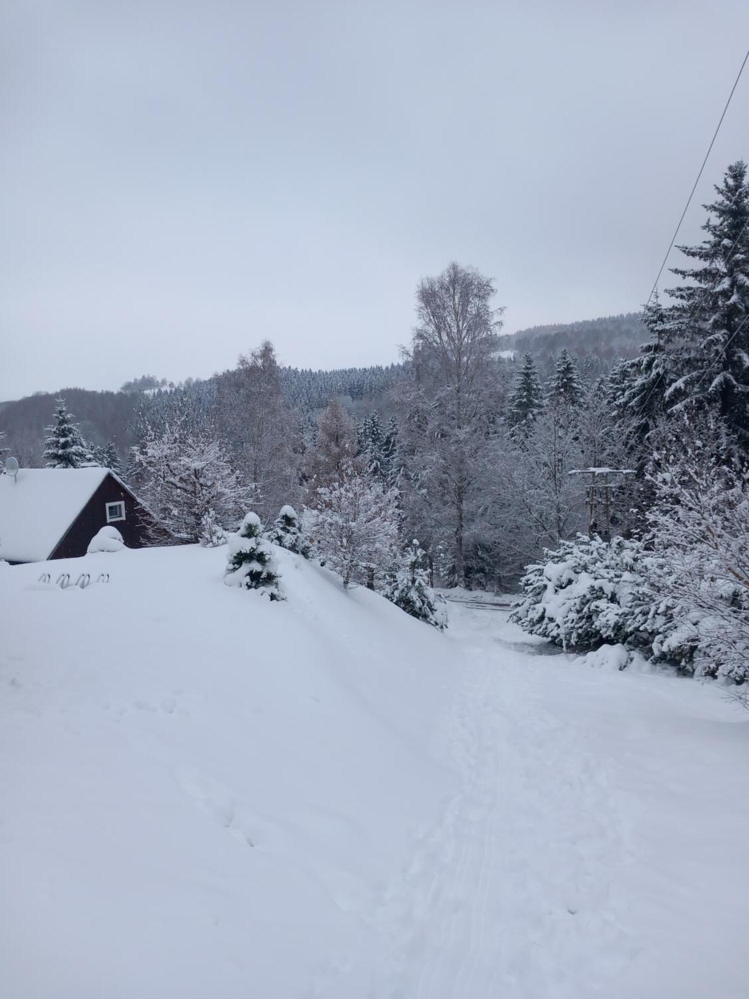 Hygge Chaloupka V Horach Villa Cesky Jiretin ภายนอก รูปภาพ